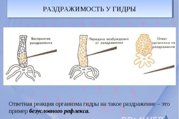 Кракен даркнет ссылка зеркало