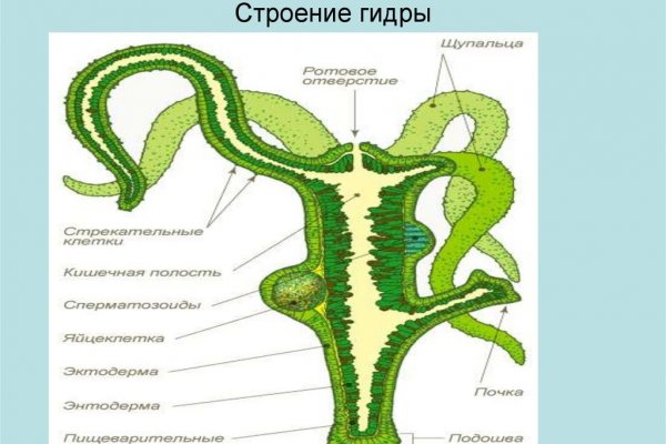 Зайти на кракен без тора