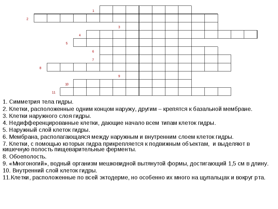 Кракен современный даркнет маркетплейс