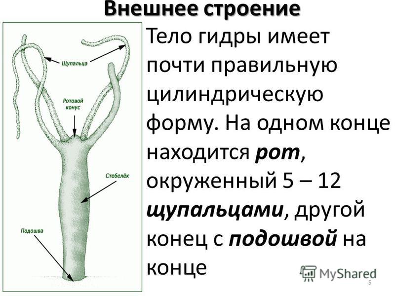 Кракен маркет kr2web in